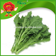 Высококачественные хризантемы Crowndaisy Leafy Vegetable